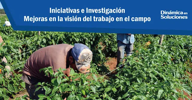 Iniciativas e investigación