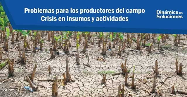 Problemas para los productores del campo